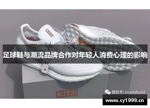 足球鞋与潮流品牌合作对年轻人消费心理的影响