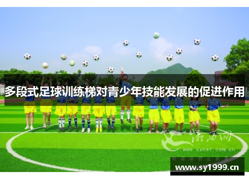 多段式足球训练梯对青少年技能发展的促进作用